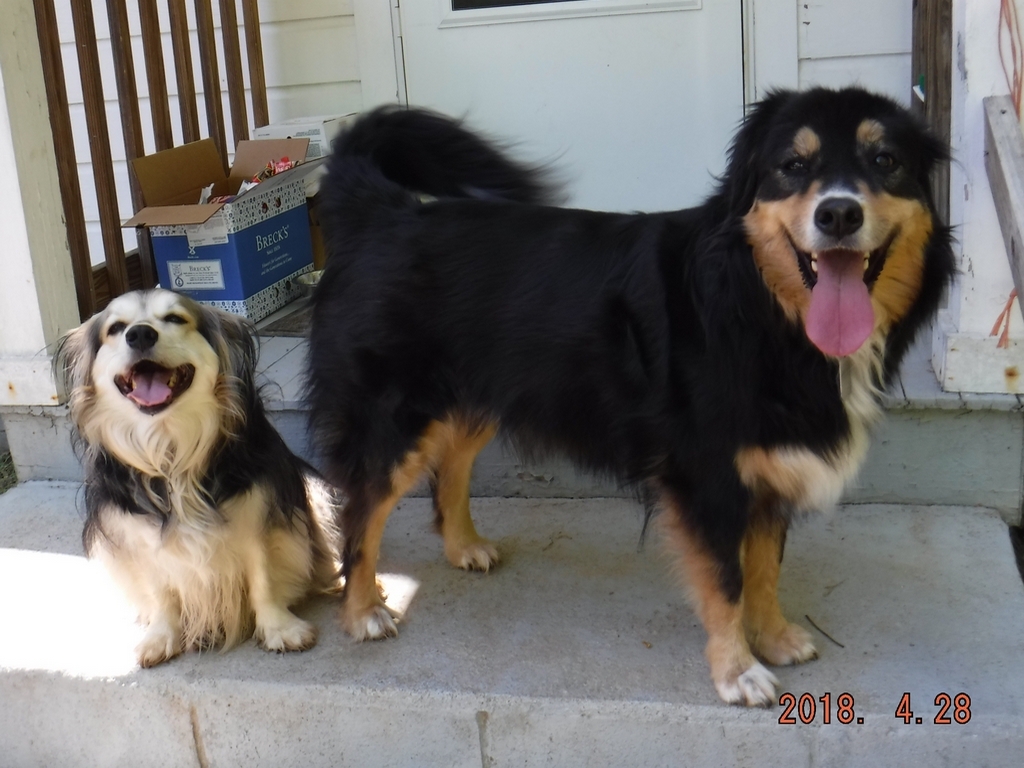 Bailey & Rocky - April 2018